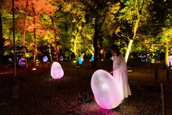 2024大阪冬日燈飾活動「大阪・光之盛宴」 梅田阪神前「光之路」、中之島公園 