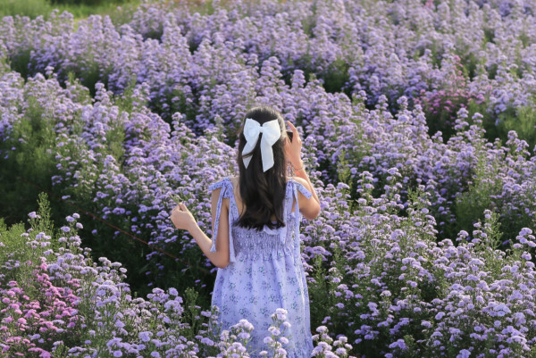 【飛女】2025年下半年 請假攻略遊泰國