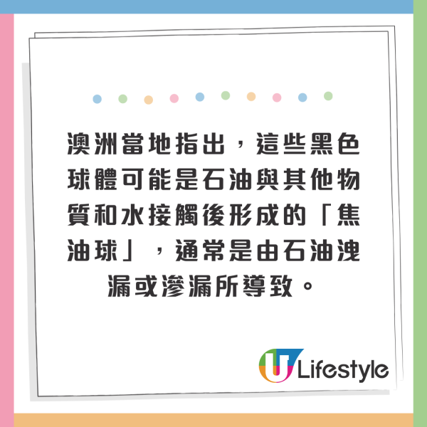 荷蘭運河發現1物極似巨大「異形蛋」 生態學家揭曉其真身！ 