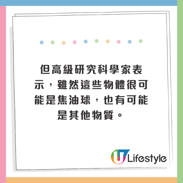 荷蘭運河發現1物極似巨大「異形蛋」 生態學家揭曉其真身！ 