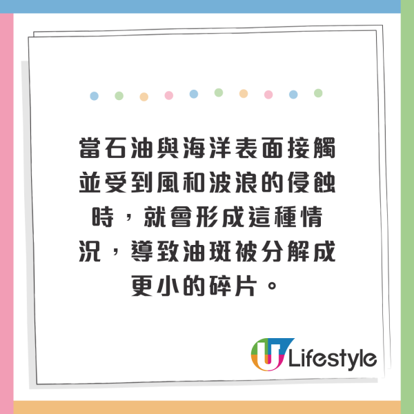 荷蘭運河發現1物極似巨大「異形蛋」 生態學家揭曉其真身！ 