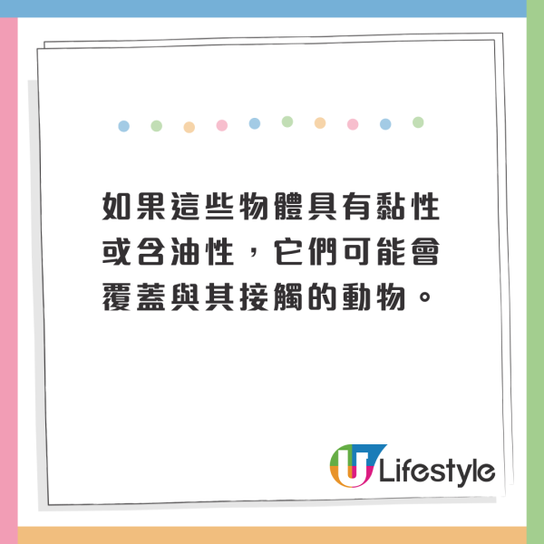 荷蘭運河發現1物極似巨大「異形蛋」 生態學家揭曉其真身！ 