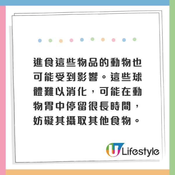 荷蘭運河發現1物極似巨大「異形蛋」 生態學家揭曉其真身！ 