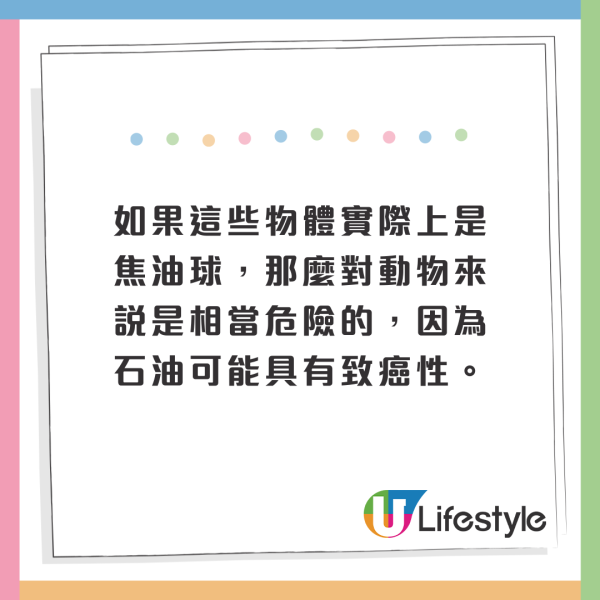 荷蘭運河發現1物極似巨大「異形蛋」 生態學家揭曉其真身！ 