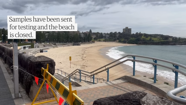 荷蘭運河發現1物極似巨大「異形蛋」 生態學家揭曉其真身！ 