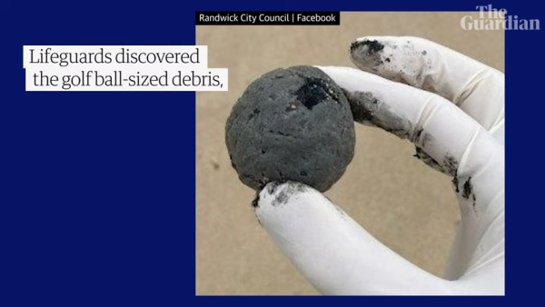 荷蘭運河發現1物極似巨大「異形蛋」 生態學家揭曉其真身！ 