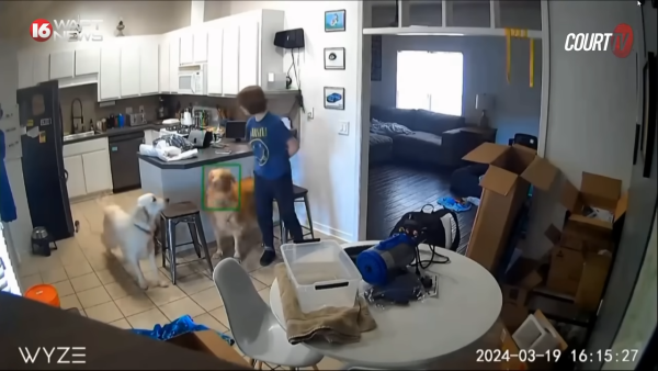 15歲惡魔少女開槍殺死母親 邀請朋友來觀屍 卻自稱不記得犯案過程！ 