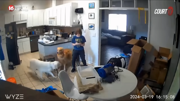 15歲惡魔少女開槍殺死母親 邀請朋友來觀屍 卻自稱不記得犯案過程！ 