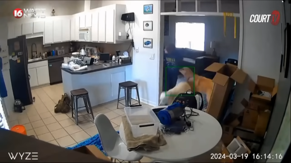 15歲惡魔少女開槍殺死母親 邀請朋友來觀屍 卻自稱不記得犯案過程！ 