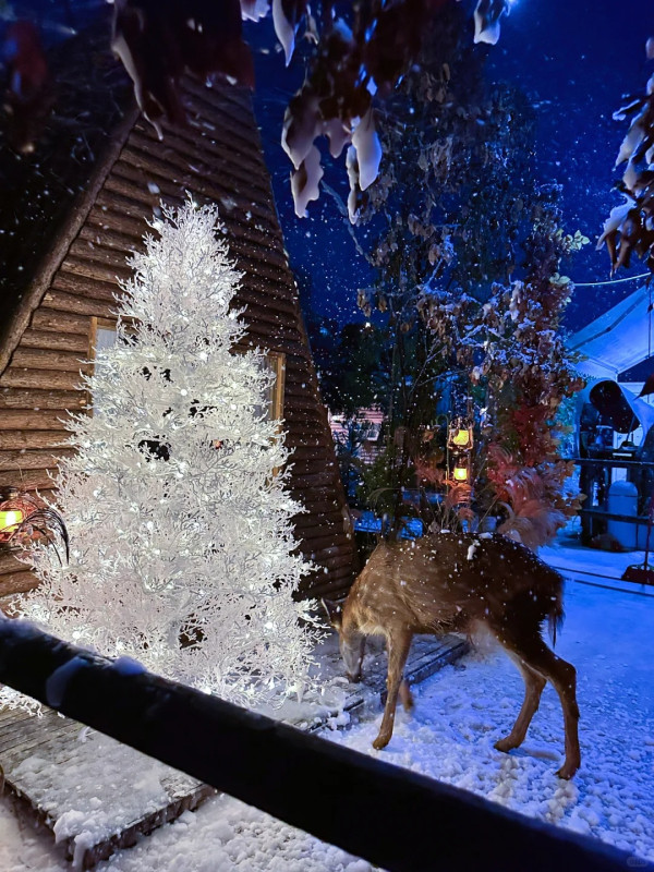 nicemini 網紅打卡·光影藝術館（圖片來源︰小紅書@nice mini網紅打卡基地）