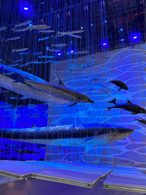 廣州親子遊好去處 廣東省博物館（圖片來源：小紅書＠是小包姐吖）