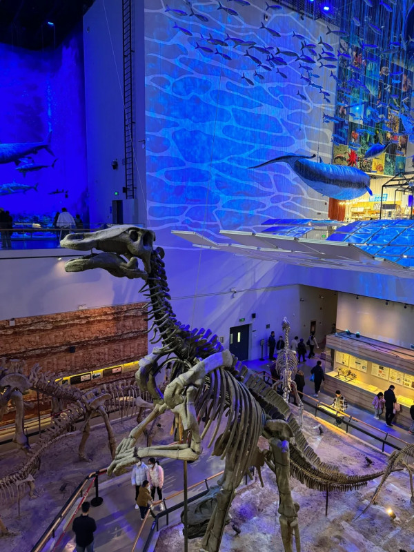 廣州親子遊好去處 廣東省博物館（圖片來源：小紅書＠是小包姐吖）