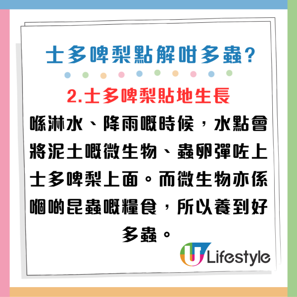 稱士多啤梨「唔食最好」 K.KWONG拆解內情！附6招有效清洗方法