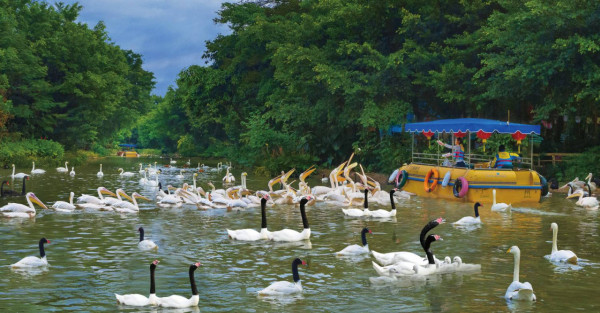 廣州親子遊好去處 長隆飛鳥樂園（圖片來源：長隆度假區）