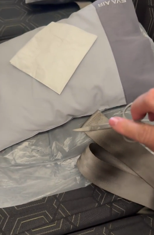 搭飛機坐低驚覺大腿刺痛 一看原來是1利器！網民質疑自編自導 