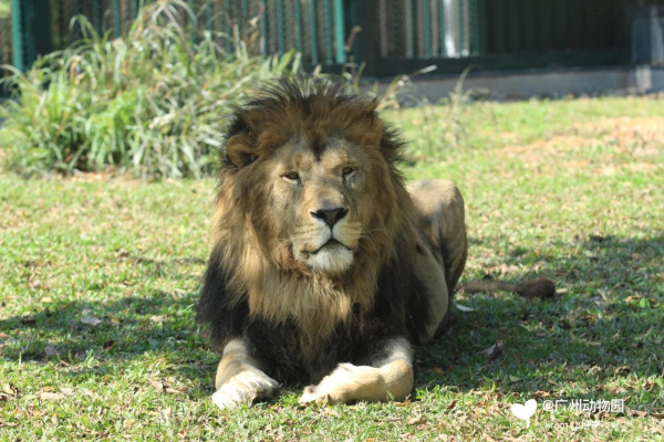 廣州親子遊好去處 廣州動物園（圖片來源：小紅書＠廣州動物園）