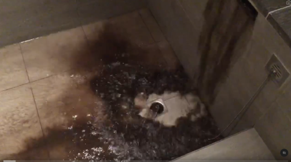 網民旅遊住酒店發現給小費每天有毛巾小驚喜 大量網民爆笑照分享 超強摺毛巾藝術 