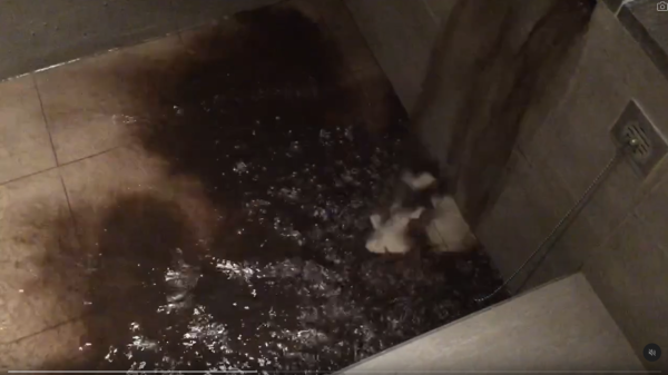 網民旅遊住酒店發現給小費每天有毛巾小驚喜 大量網民爆笑照分享 超強摺毛巾藝術 