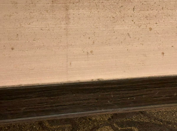 台灣人遇港遊客問路哪裹有「香腸」 以為性暗示 結局原來想找1地方 