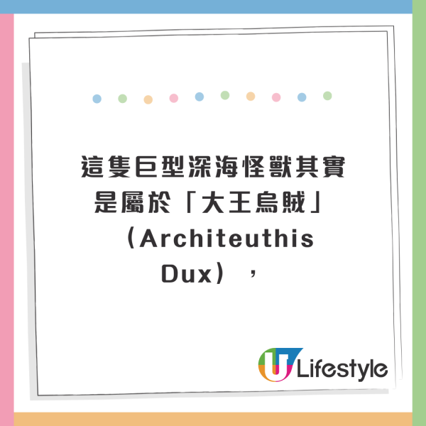 西班牙海灘驚現10米巨型深海怪獸!身長達17米、重300公斤!生物學家揭真身