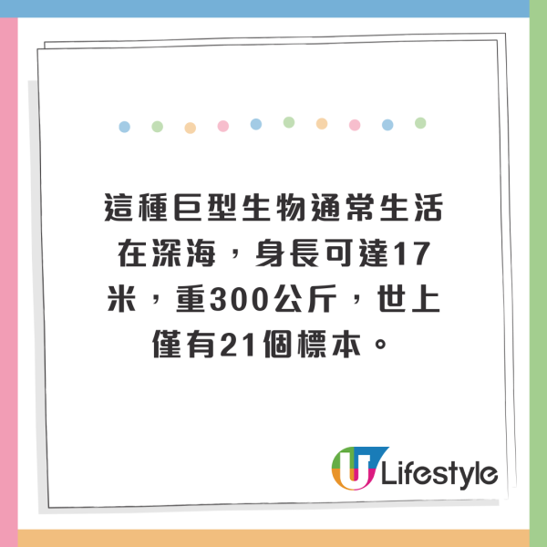 西班牙海灘驚現10米巨型深海怪獸!身長達17米、重300公斤!生物學家揭真身