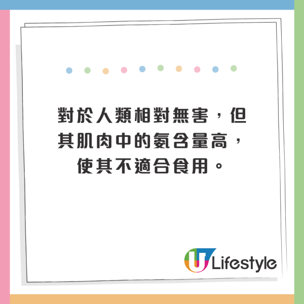 西班牙海灘驚現10米巨型深海怪獸!身長達17米、重300公斤!生物學家揭真身