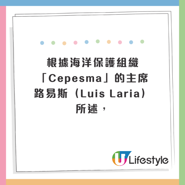 西班牙海灘驚現10米巨型深海怪獸!身長達17米、重300公斤!生物學家揭真身