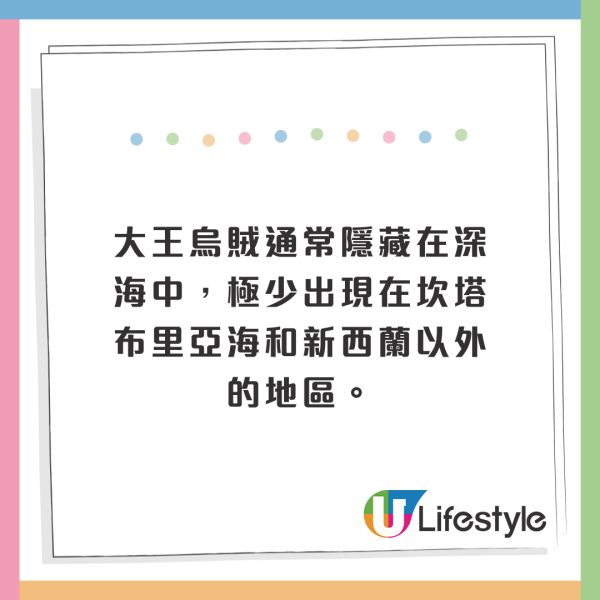 西班牙海灘驚現10米巨型深海怪獸!身長達17米、重300公斤!生物學家揭真身