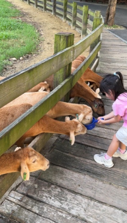 開箱台灣無印風牧場酒店！ 豪華套房+私人陽台飽覽山景 享受一泊二食/牧場體驗 