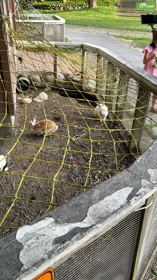 開箱台灣無印風牧場酒店！ 豪華套房+私人陽台飽覽山景 享受一泊二食/牧場體驗 