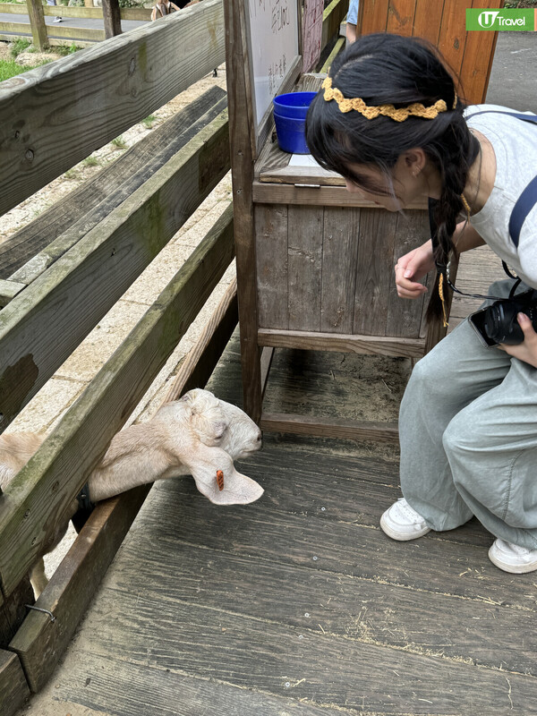 開箱台灣無印風牧場酒店！ 豪華套房+私人陽台飽覽山景 享受一泊二食/牧場體驗 
