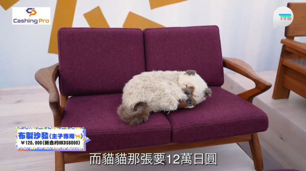 《解風福岡》行程懶人包｜杜如風帶隊遊福岡 必食餐廳/打卡景點/酒店推介 