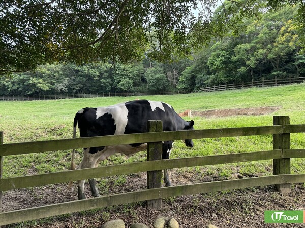 台灣親子遊｜親子旅遊自由行逾10大景點推介 打卡大珍奶/兒童新樂園/森林親子樂園 