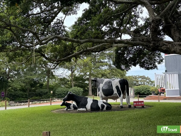 台灣親子遊｜親子旅遊自由行逾10大景點推介 打卡大珍奶/兒童新樂園/森林親子樂園 