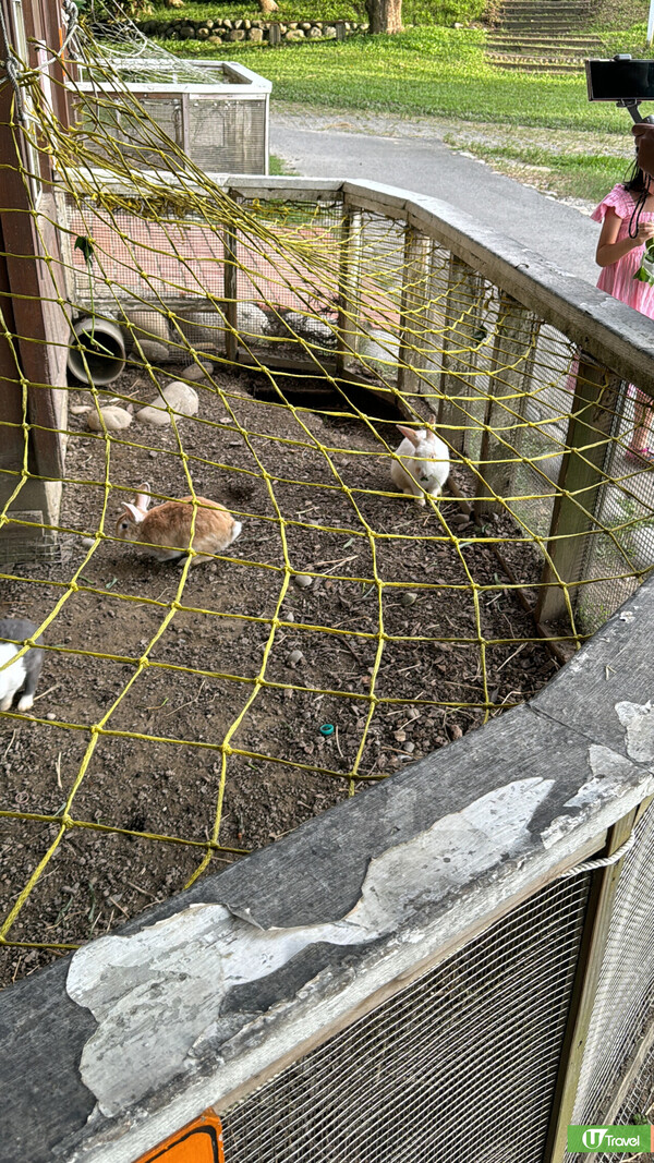 台灣親子遊｜親子旅遊自由行逾10大景點推介 打卡大珍奶/兒童新樂園/森林親子樂園 