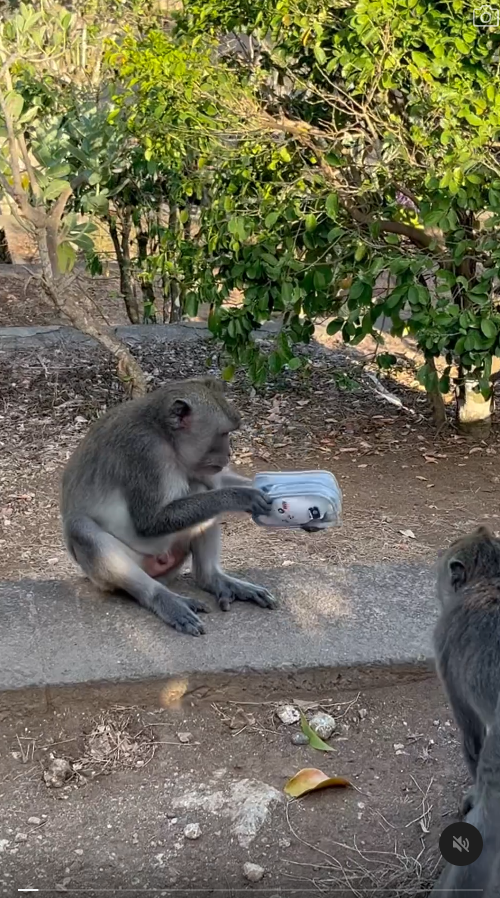 峇里島青年旅社驚傳食物中毒 多名內地客中招 1女不幸喪命 