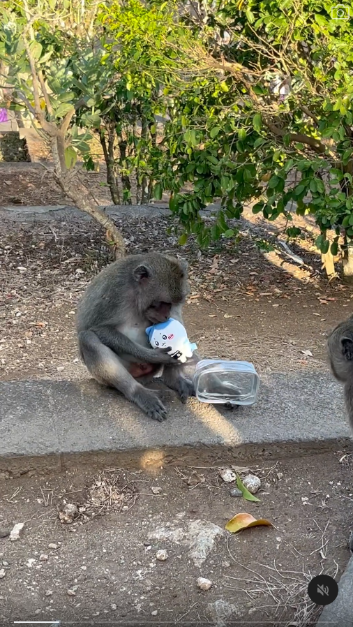 峇里島青年旅社驚傳食物中毒 多名內地客中招 1女不幸喪命 