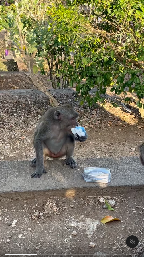 峇里島青年旅社驚傳食物中毒 多名內地客中招 1女不幸喪命 