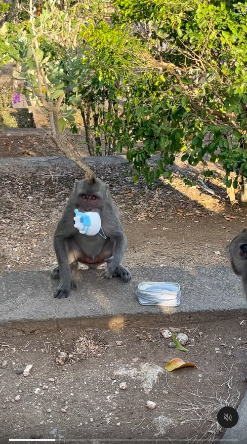 峇里島青年旅社驚傳食物中毒 多名內地客中招 1女不幸喪命 
