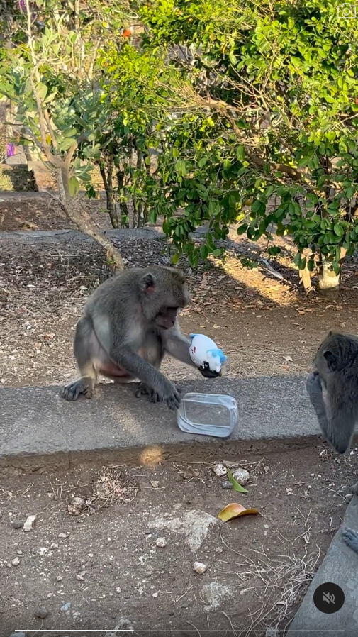 峇里島青年旅社驚傳食物中毒 多名內地客中招 1女不幸喪命 