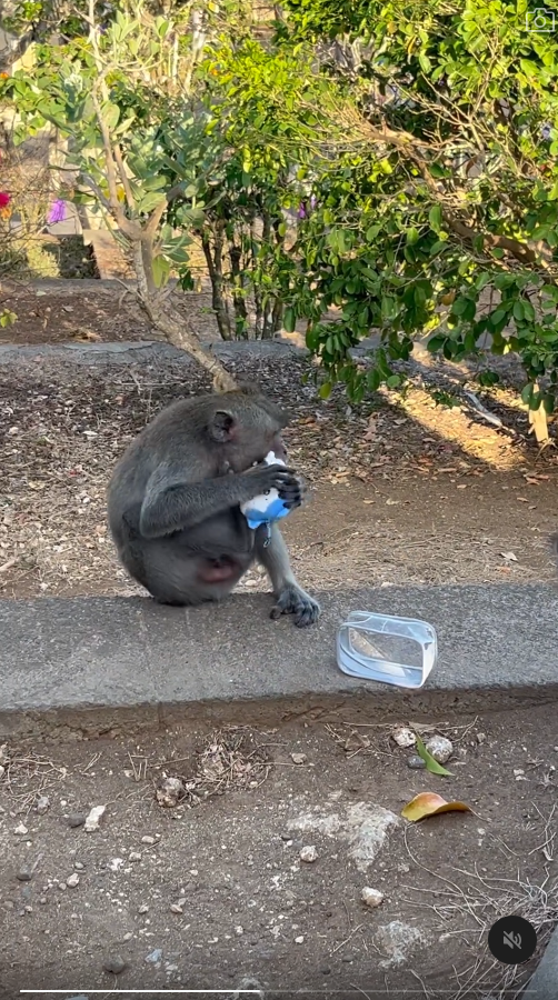 峇里島青年旅社驚傳食物中毒 多名內地客中招 1女不幸喪命 