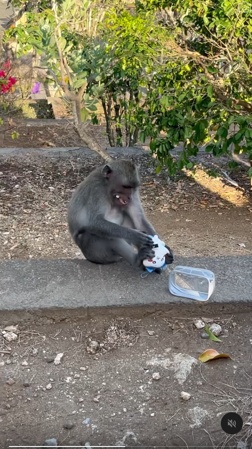 峇里島青年旅社驚傳食物中毒 多名內地客中招 1女不幸喪命 