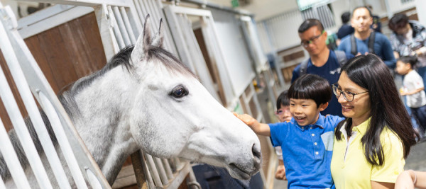 屯門公眾騎術學校開放日！免費試騎小馬/ 參觀馬房 / 迷你小馬拍照｜附11.10 颱風銀杏惡劣天氣安排