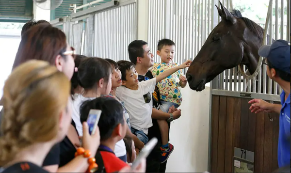 屯門公眾騎術學校開放日！免費試騎小馬/ 參觀馬房 / 迷你小馬拍照｜附11.10 颱風銀杏惡劣天氣安排