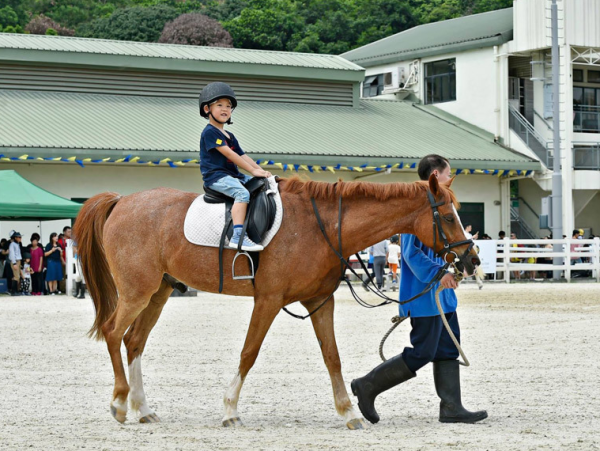 屯門公眾騎術學校開放日！免費試騎小馬/ 參觀馬房 / 迷你小馬拍照｜附11.10 颱風銀杏惡劣天氣安排