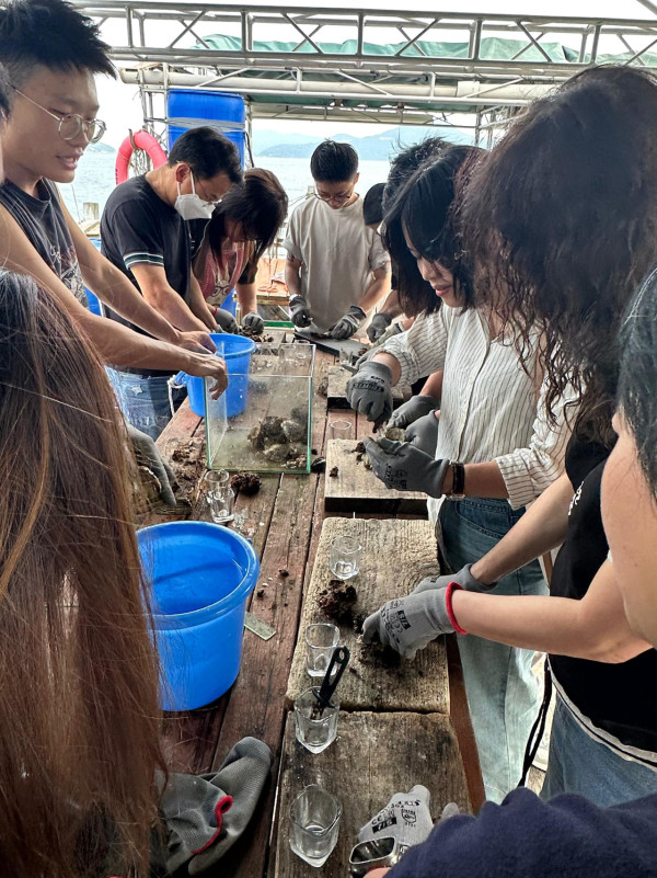 送人氣背包袋款！香港秋天郊遊4大秘景│絕美海岸線／參觀鹽田／親手開蚌