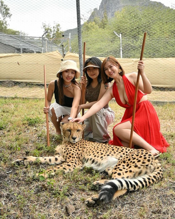 前港姐冠軍布吉曬健身成果 曾甫全裸照 弗爆身材不輸郭珮文