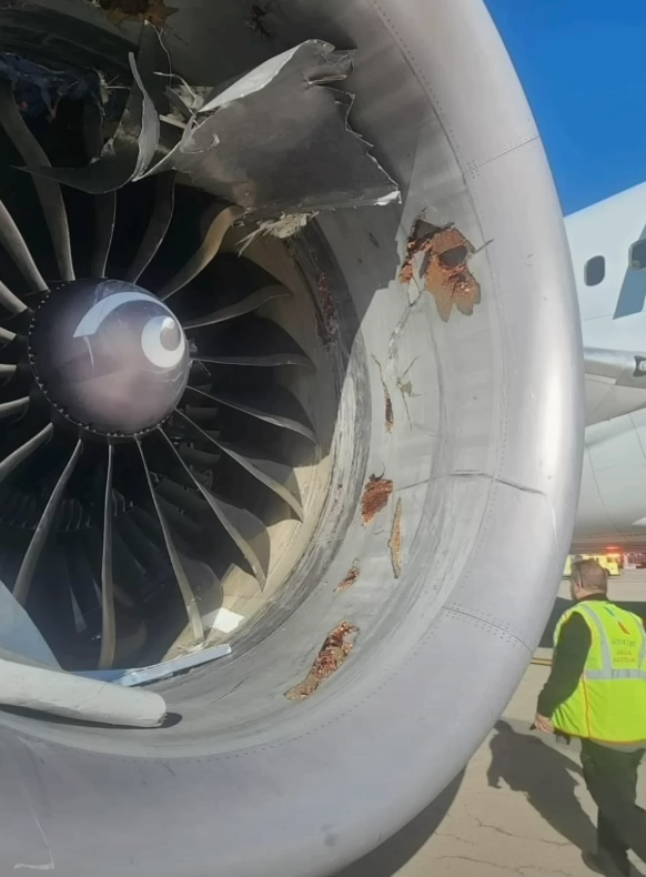 有片|芝加哥機場行李被吸入飛機引擎 行李如紙皮般絞碎 場面極驚險