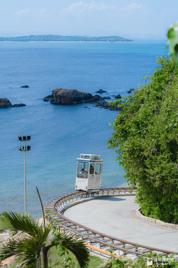 奈雪的茶X哈利波特推主題美食+週邊!黑魔法杯/佛地魔蛋糕卷/分類帽杯