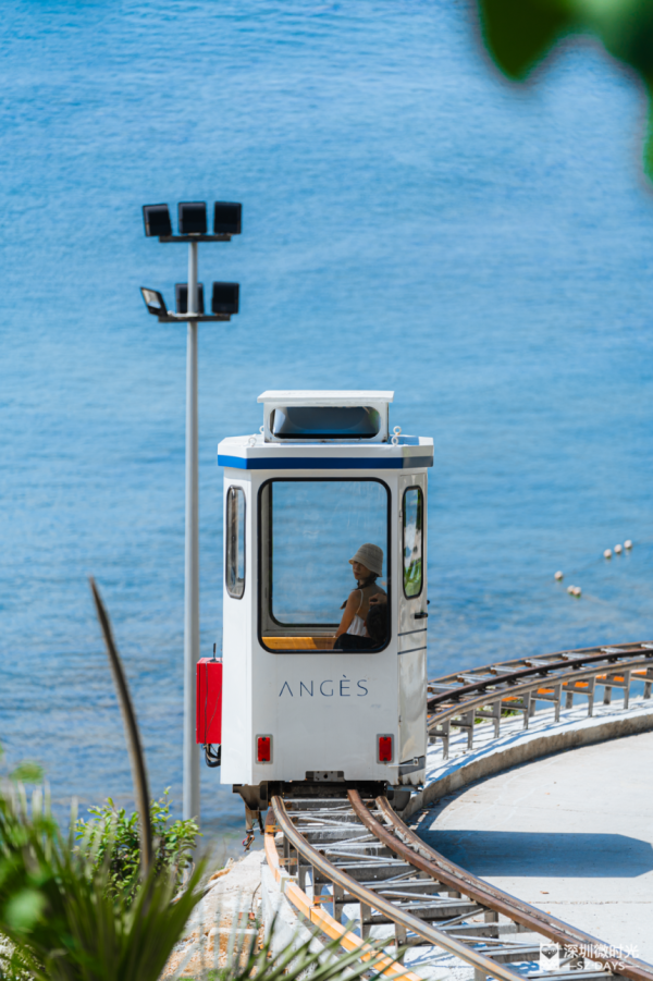 奈雪的茶X哈利波特推主題美食+週邊!黑魔法杯/佛地魔蛋糕卷/分類帽杯